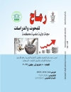 العدد الثمانون